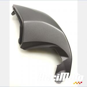 Coque arrière (gauche) TRIUMPH SPEED TRIPLE 1050 R