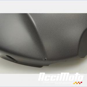 Cache réservoir d'essence TRIUMPH SPEED TRIPLE 1050 R