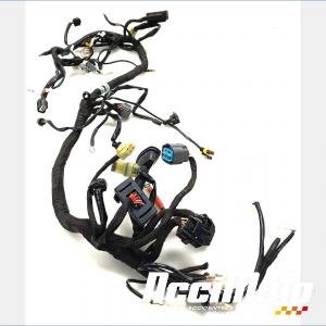 Faisceau &eacute;lectrique (principal) KTM 1290 SUPERDUKE