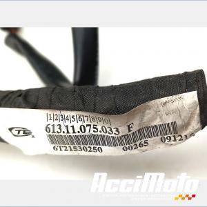 Faisceau électrique (principal) KTM 1290 SUPERDUKE