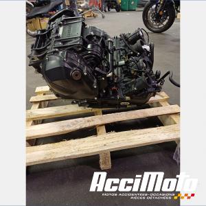 Moteur MV AGUSTA BRUTALE 675