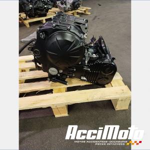 Engine KAWASAKI ER6 N