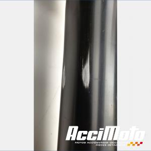 Fourche complète TRIUMPH STREET TRIPLE 675 R