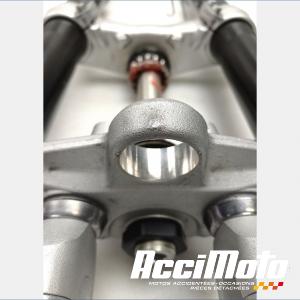 Fourche complète TRIUMPH STREET TRIPLE 675 R