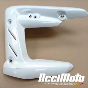 &eacute;cope de radiateur (gauche) TRIUMPH STREET TRIPLE 675 R