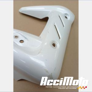 écope de radiateur (gauche) TRIUMPH STREET TRIPLE 675 R