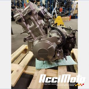 Moteur HONDA HORNET CB600F