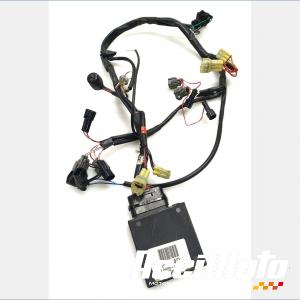 Ligne d'échappement complète MV AGUSTA BRUTALE 920