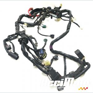 Faisceau &eacute;lectrique (principal) YAMAHA R1 YZF1000