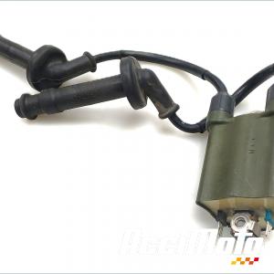Bobine d'allumage (2/3) HONDA HORNET CB600F