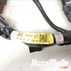 Faisceau électrique (principal) YAMAHA R1 YZF1000