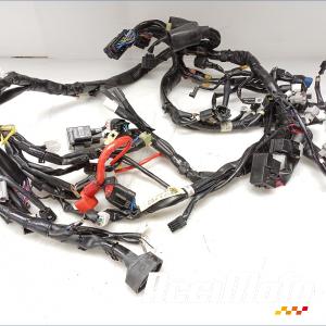 Faisceau électrique (principal) YAMAHA R1 YZF1000