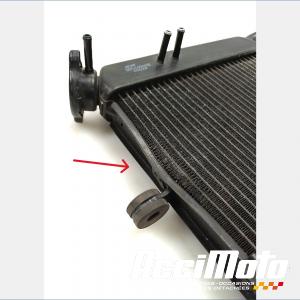 Radiateur de refroidissement YAMAHA XJ6F DIVERSION