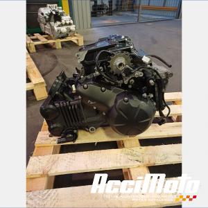 Moteur KAWASAKI ER6 N