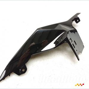 Coque arrière (gauche) BMW S1000 RR