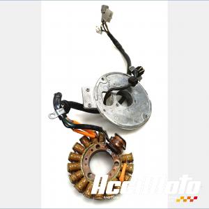 Stator YAMAHA TDR 125