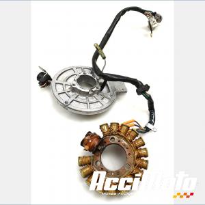 Stator d'alternateur YAMAHA TDR 125