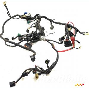 Faisceau &eacute;lectrique (principal) YAMAHA FZ1 S FAZER