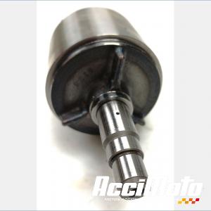 Rotor d'alternateur YAMAHA FZ1 S FAZER