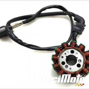 Stator d'alternateur YAMAHA FZ1 S FAZER