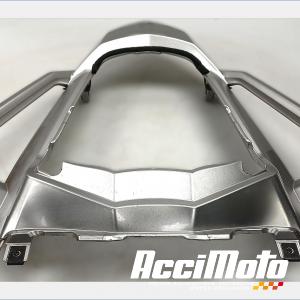 Poignée passager (monobloc) YAMAHA FZ1 S FAZER