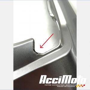 Poignée passager (monobloc) YAMAHA FZ1 S FAZER