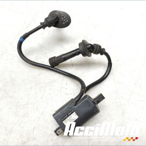 Bobine d'allumage (2/3) SUZUKI BANDIT GSF600N