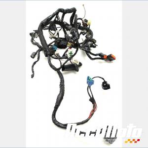 Faisceau &eacute;lectrique (principal) KAWASAKI ER6 N