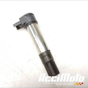 Bobine crayon BMW R NINE T