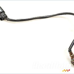 Sonde lambda HARLEY DAVIDSON SPORTSTER XL883N IRON