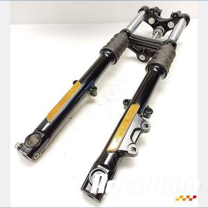 Fourche compl&egrave;te HARLEY DAVIDSON SPORTSTER XL883N IRON