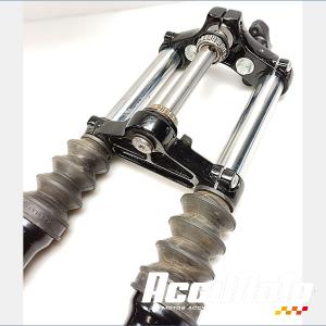 Fourche complète HARLEY DAVIDSON SPORTSTER XL883N IRON