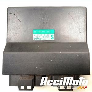 Kit neiman+cdi YAMAHA FZ1 S FAZER