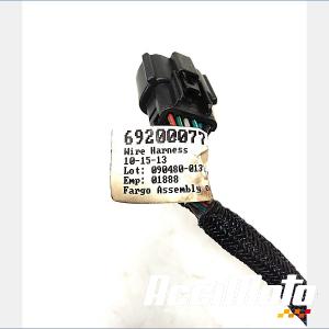 Faisceau de rampe d'injection HARLEY DAVIDSON SPORTSTER XL883N IRON