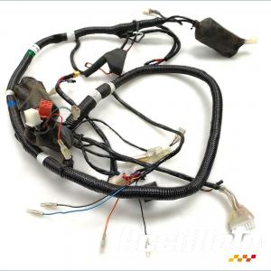 Faisceau électrique (principal) SUPER SOCO CPX 125