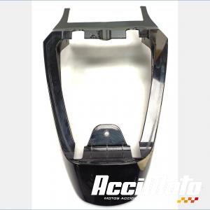 Rear tail Fairing LEONART PILDER 125