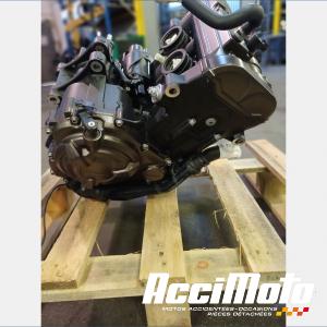 Moteur YAMAHA TRACER 700