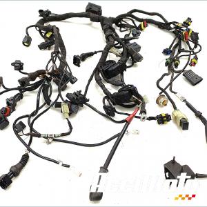 Faisceau &eacute;lectrique (principal) DUCATI SUPERBIKE 1198