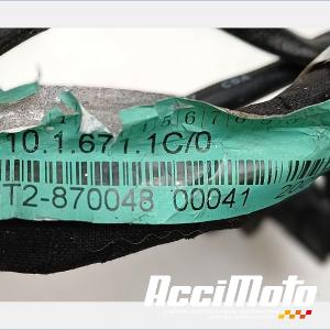 Faisceau électrique (principal) DUCATI SUPERBIKE 1198