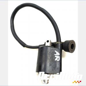 Ignition coil rear cylinder YAMAHA BULLDOG BT1100