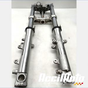 Fourche complète YAMAHA BULLDOG BT1100