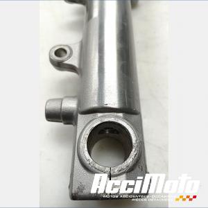 Fourche complète YAMAHA BULLDOG BT1100