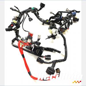 Faisceau &eacute;lectrique (principal) YAMAHA MT-09