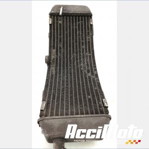 Radiateur de refroidissement YAMAHA TMAX XP500