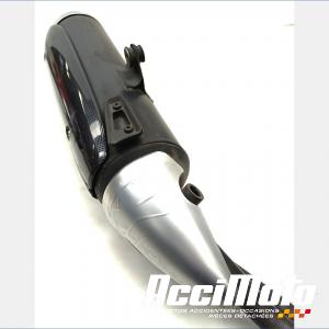 Ligne d'échappement complète YAMAHA TMAX XP500