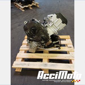 Engine SUZUKI GSXR 1000