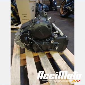 Engine YAMAHA XJ6F DIVERSION