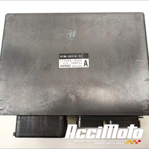 Kit neiman+cdi YAMAHA TMAX XP560