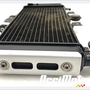 Radiateur de refroidissement YAMAHA FAZER FZS600