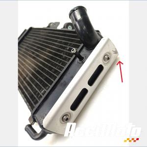 Radiateur de refroidissement YAMAHA FAZER FZS600